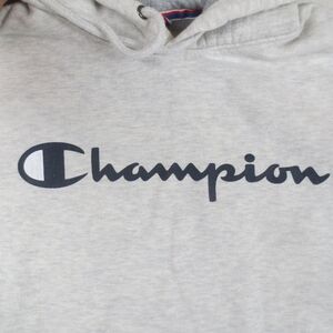 Champion Hoodie Mens Med Gray Logo Pullover Sweatshirt‎ Athletic Sports Outdoors
